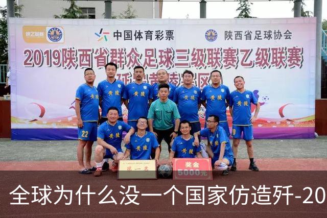 全球为什么没一个国家仿造歼-20，瑞典已破译！