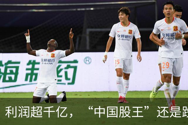利润超千亿，“中国股王”还是跌疼了股民