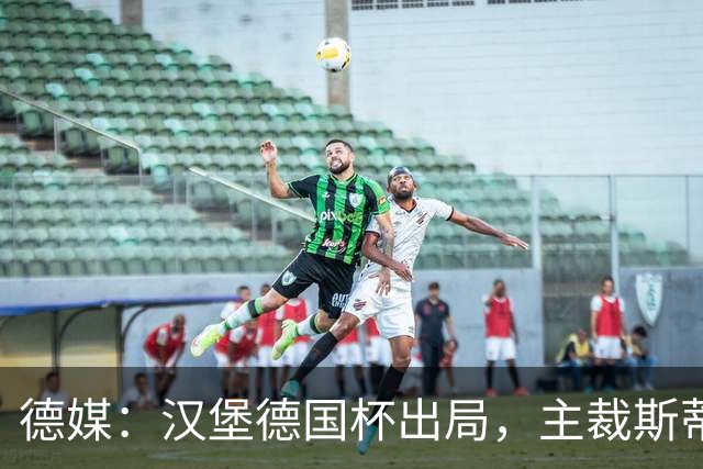 德媒：汉堡德国杯出局，主裁斯蒂勒承认漏判点球