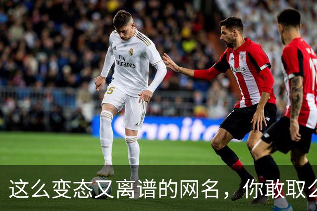 这么变态又离谱的网名，你敢取么？网友：每个网名的信息量都好大