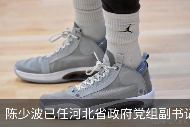 陈少波已任河北省政府党组副书记