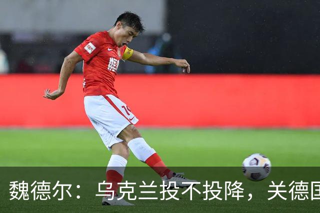 魏德尔：乌克兰投不投降，关德国什么事？欧洲什么事