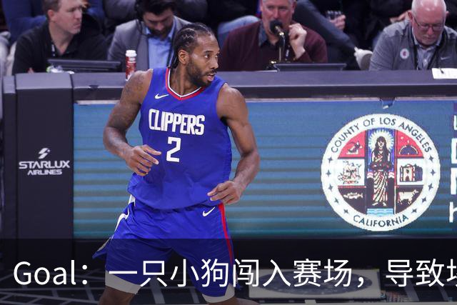 Goal：一只小狗闯入赛场，导致埃及联赛中断